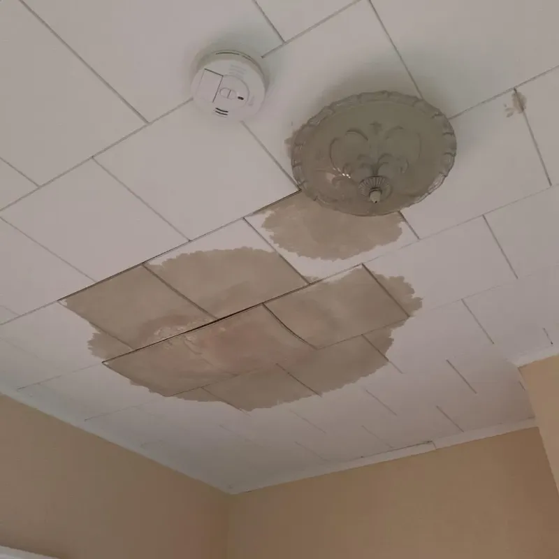 Ceiling Water Damage Repair in Wentzville, MO
