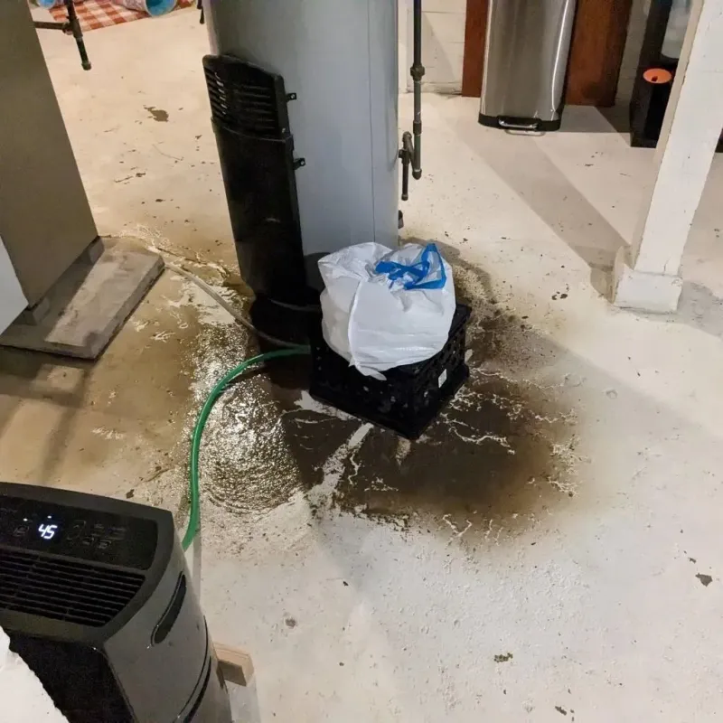 Sewage Backup Cleanup Service in Wentzville, MO